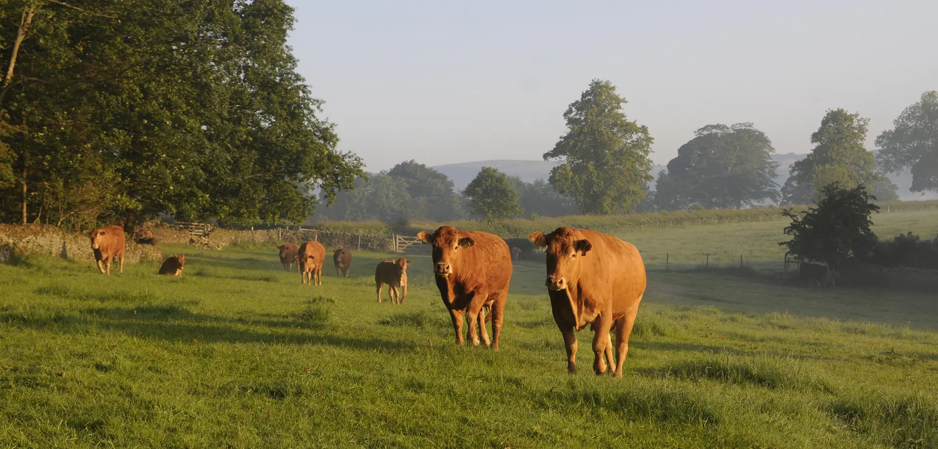 Chatsworth Farm