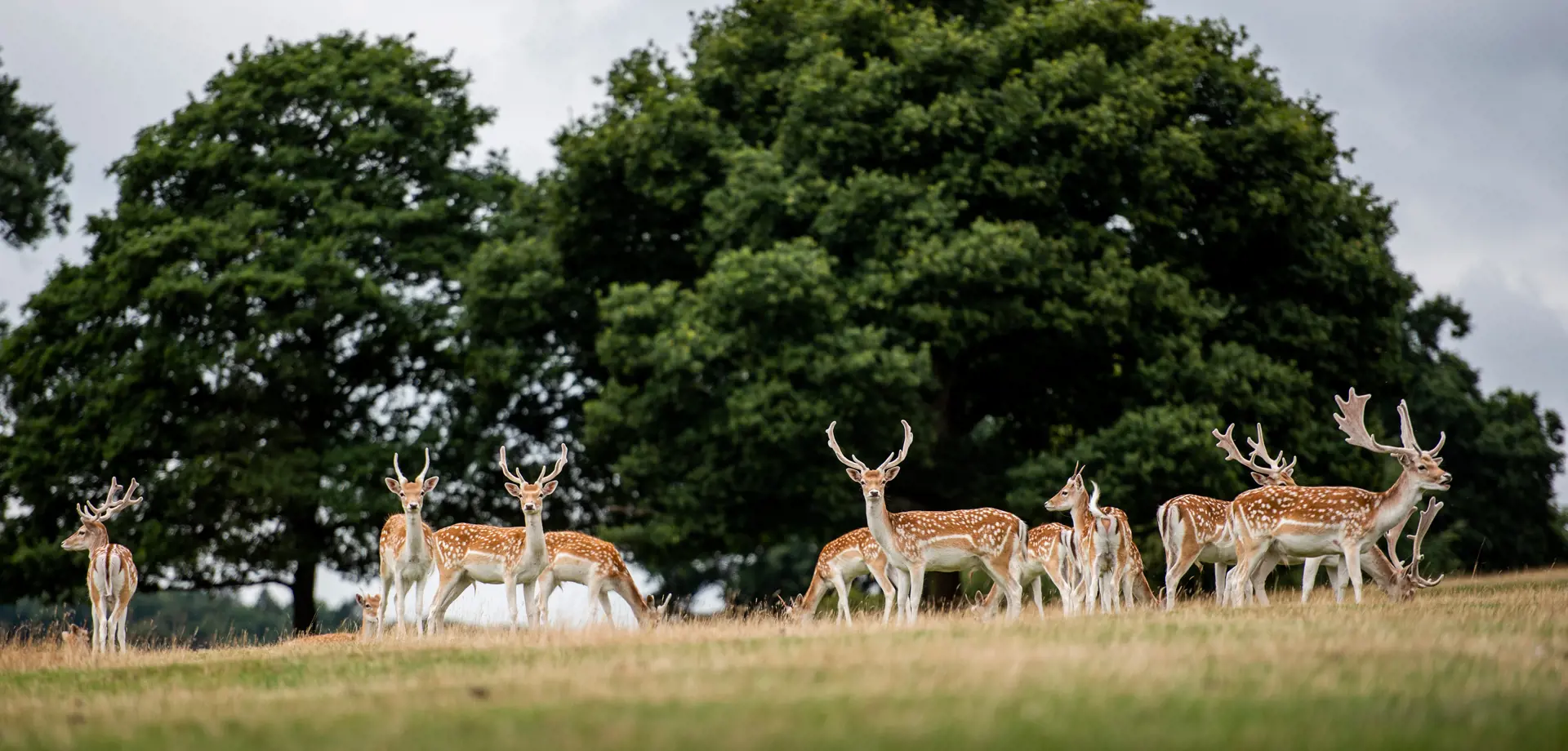 Chatsworth to Pilsley circuit