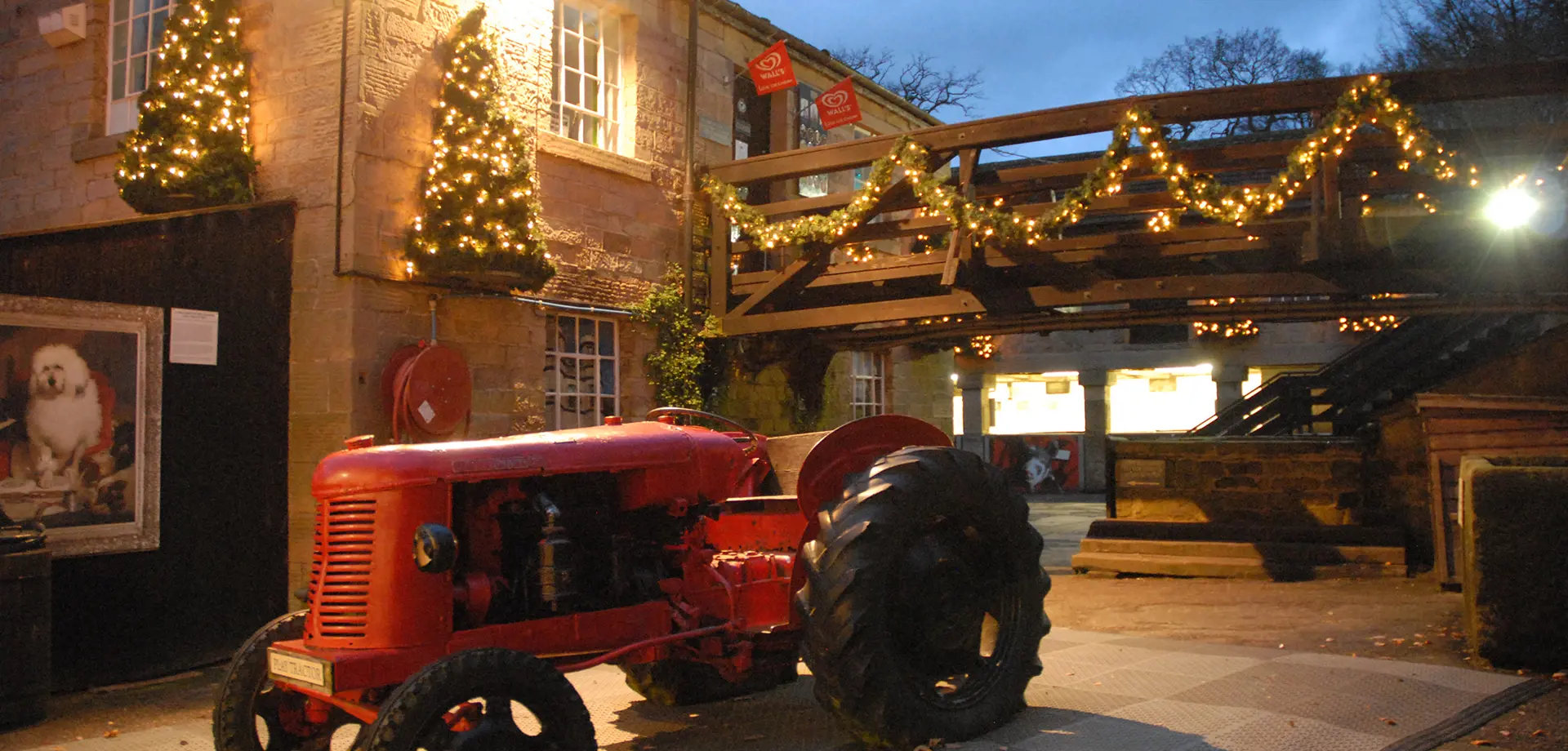 Farmyard Christmas experience