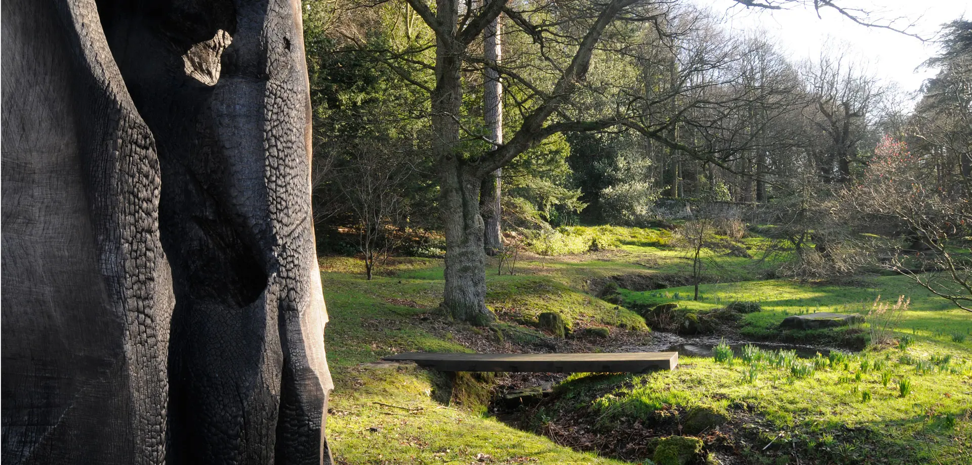 Arboretum and Trout Stream