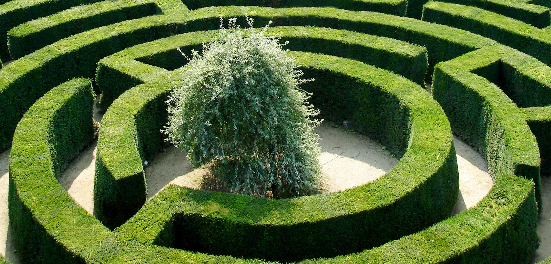 The Maze