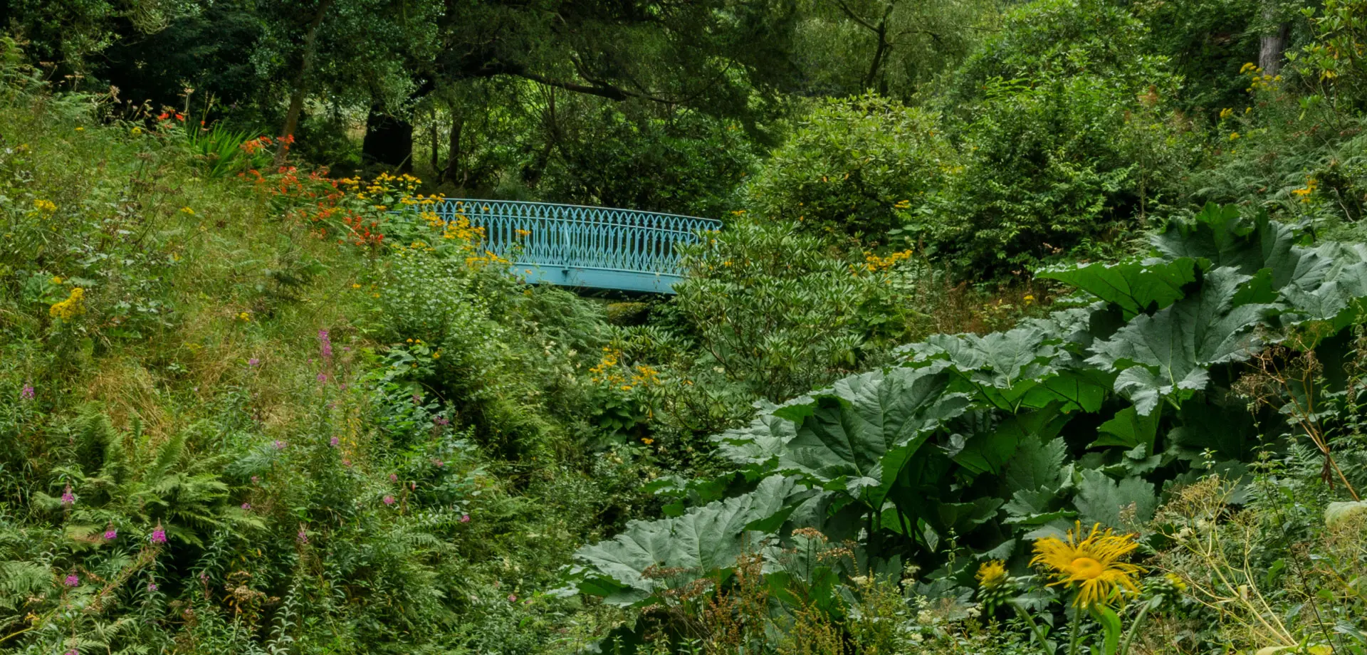 Ravine and Azalea Dell