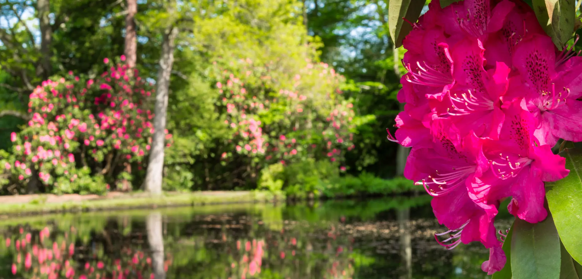 Grotto House, Grotto Pond & Morton Pond