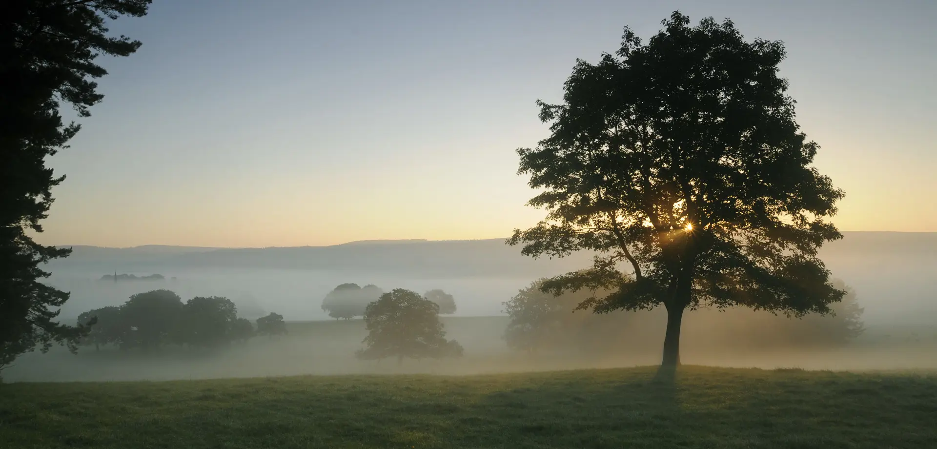 Natural heritage and biodiversity