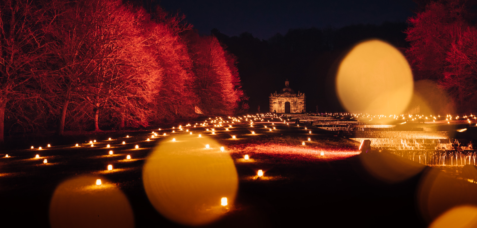 Christmas in the garden