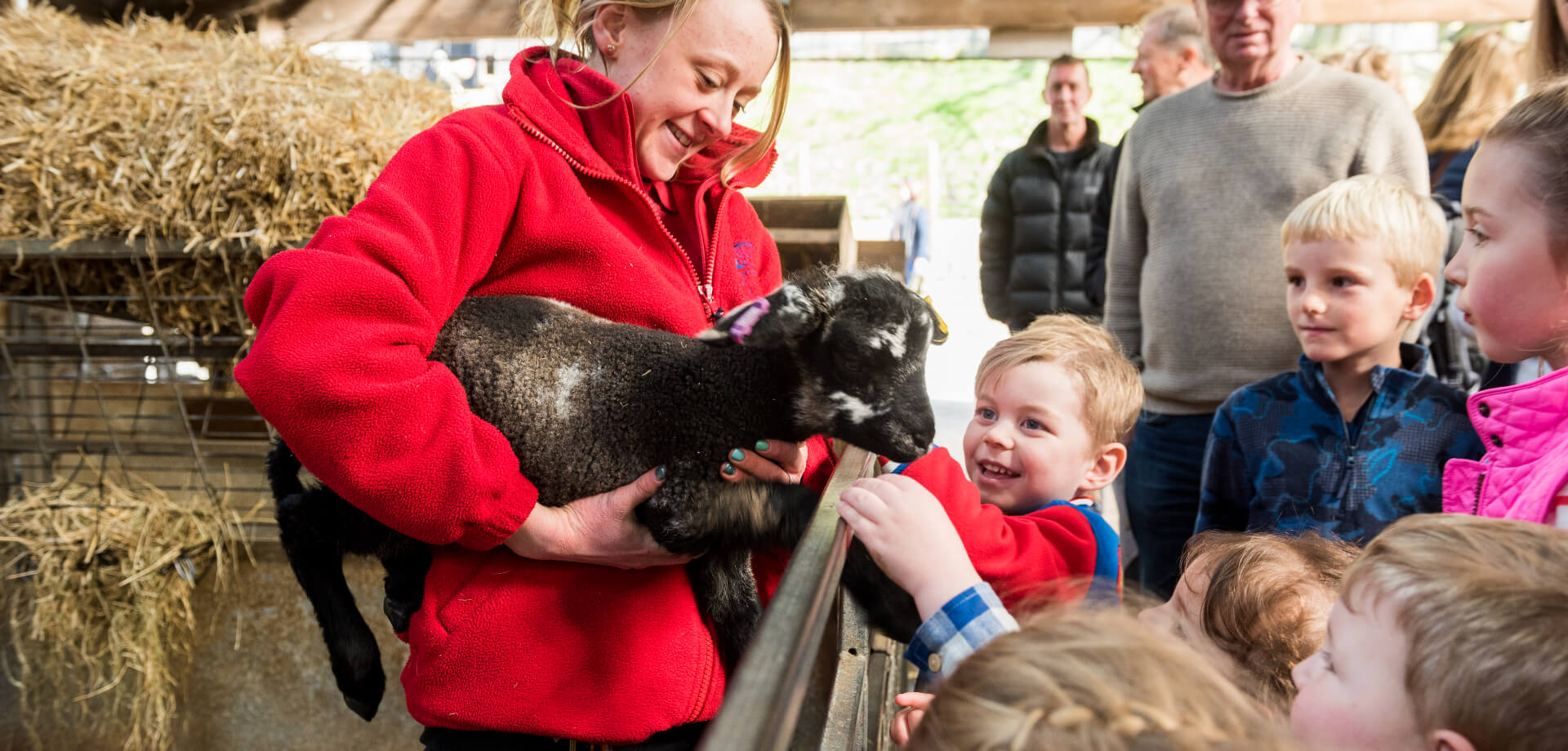 Chatsworth young farmers